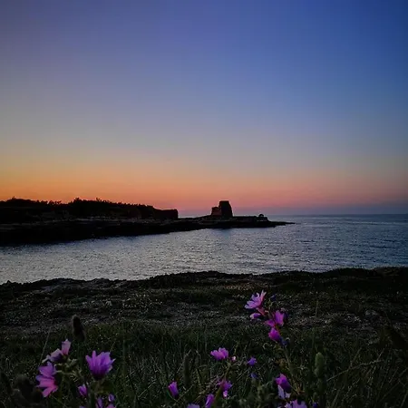 Eccelsoleccese Boutique - Steps From The Historic Center Frühstückspension