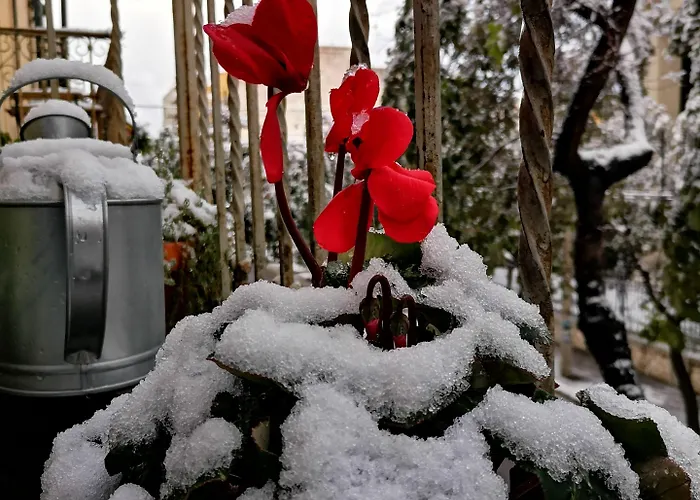 Bed & Breakfast Eccelsoleccese Boutique - Steps From The Historic Center Lecce