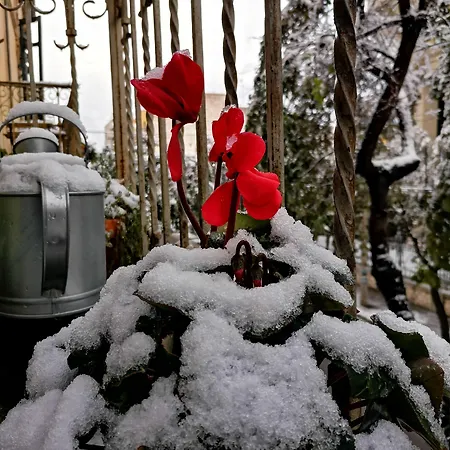 Bed & Breakfast Eccelsoleccese Boutique - Steps From The Historic Center Lecce