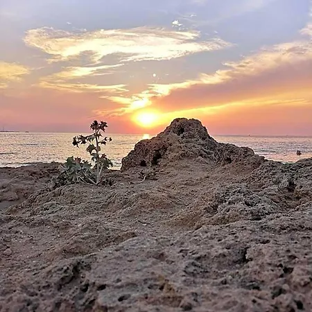 فندق مبيت وإفطار Eccelsoleccese Boutique - Steps From The Historic Center ليتشي